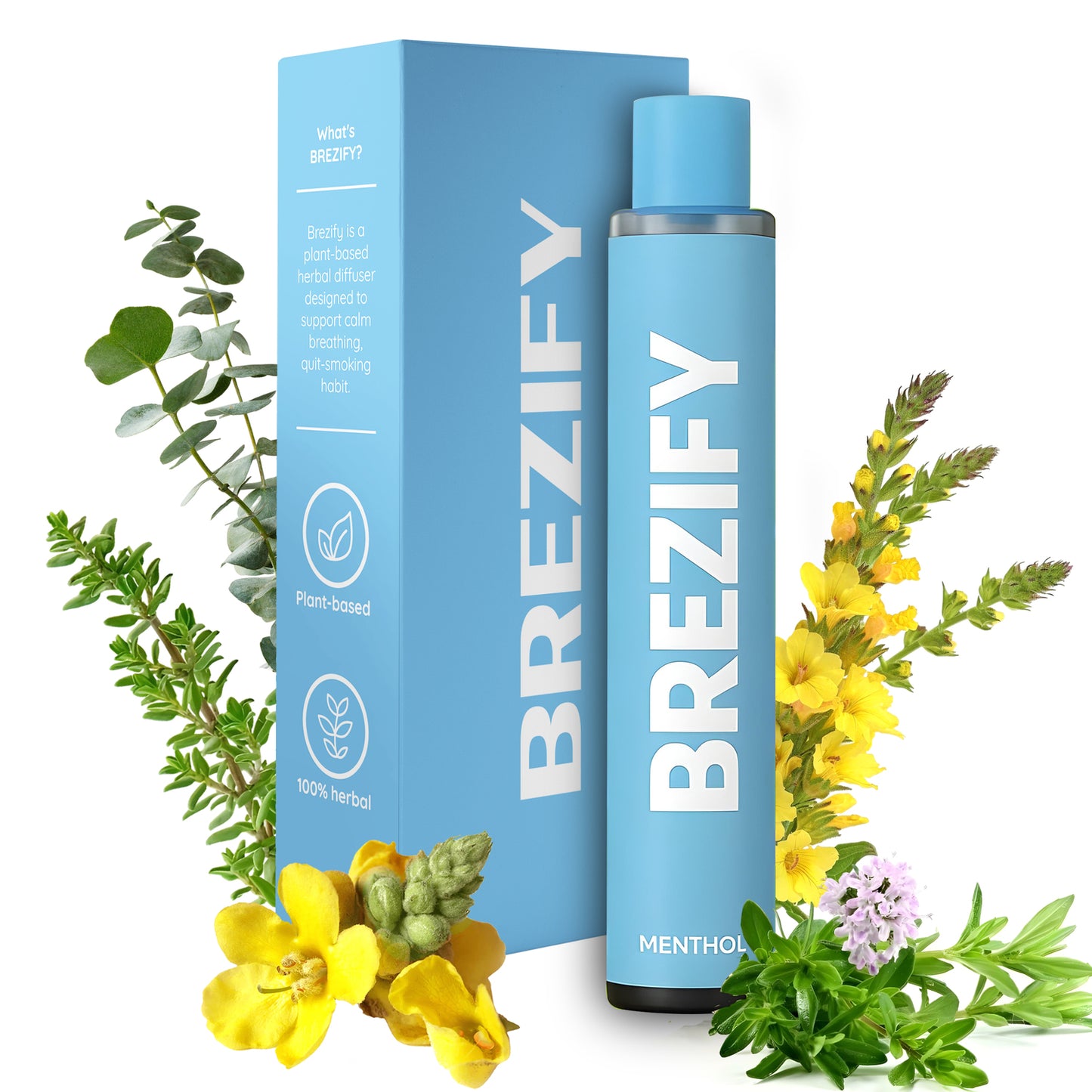 Detox | Mullein Diffuser | Menthol