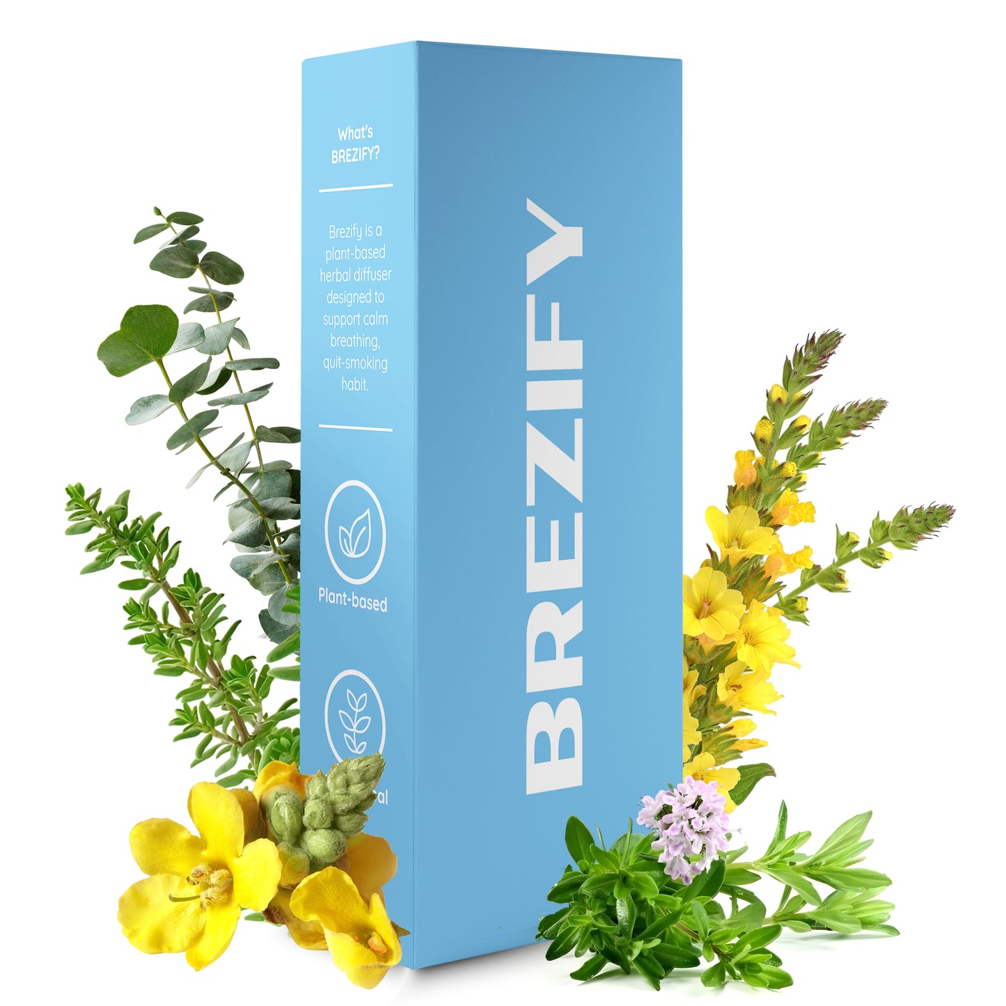 Brezify – Plant-Powered Lung Cleanser Diffuser | Menthol Flavor