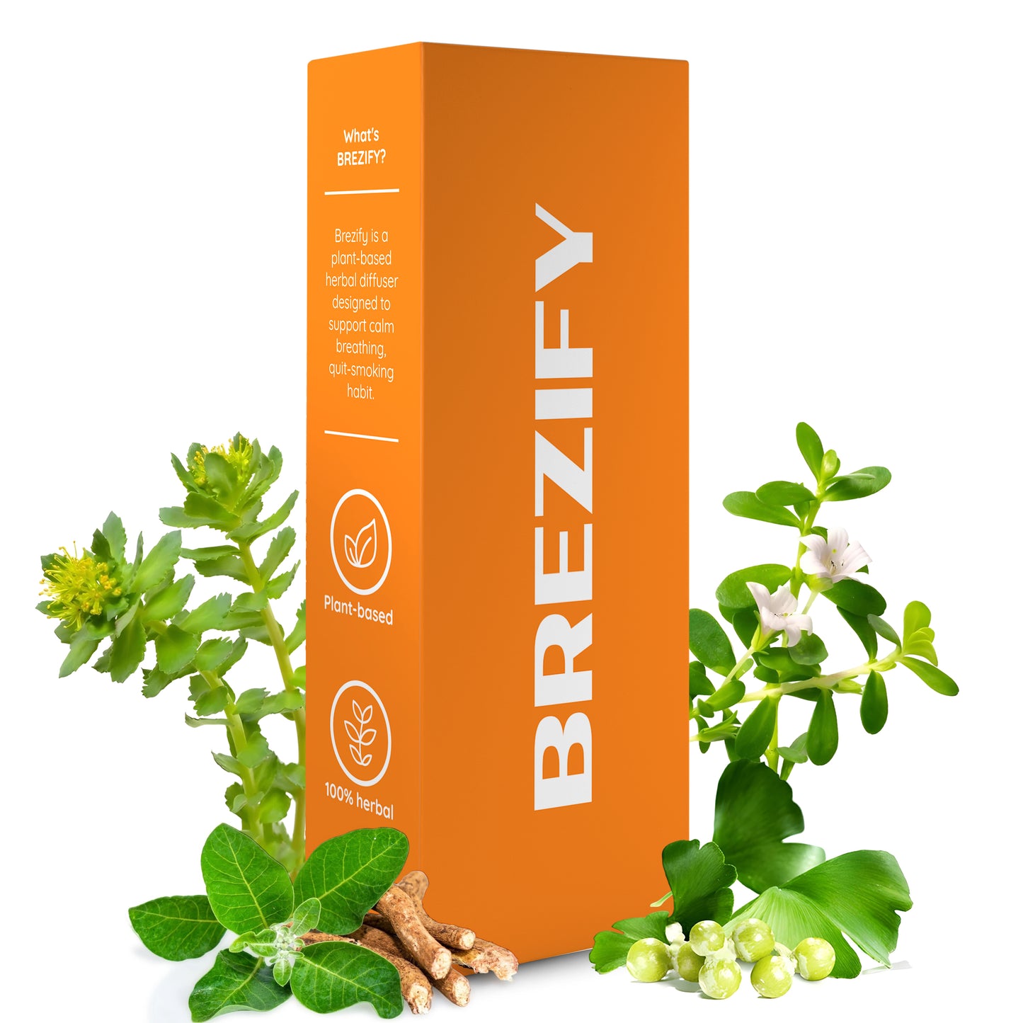 Brezify – Plant-Powered Wellness Diffuser | Spearmint Flavor