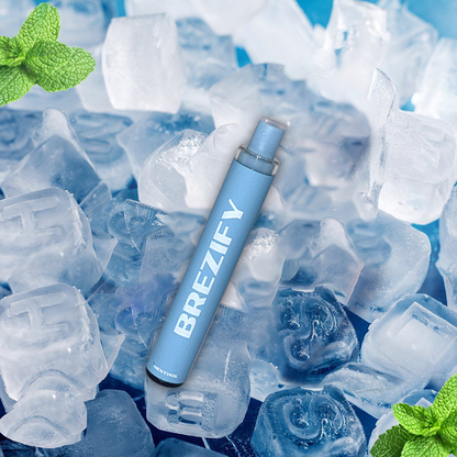 Brezify – Plant-Powered Lung Cleanser Diffuser | Menthol Flavor