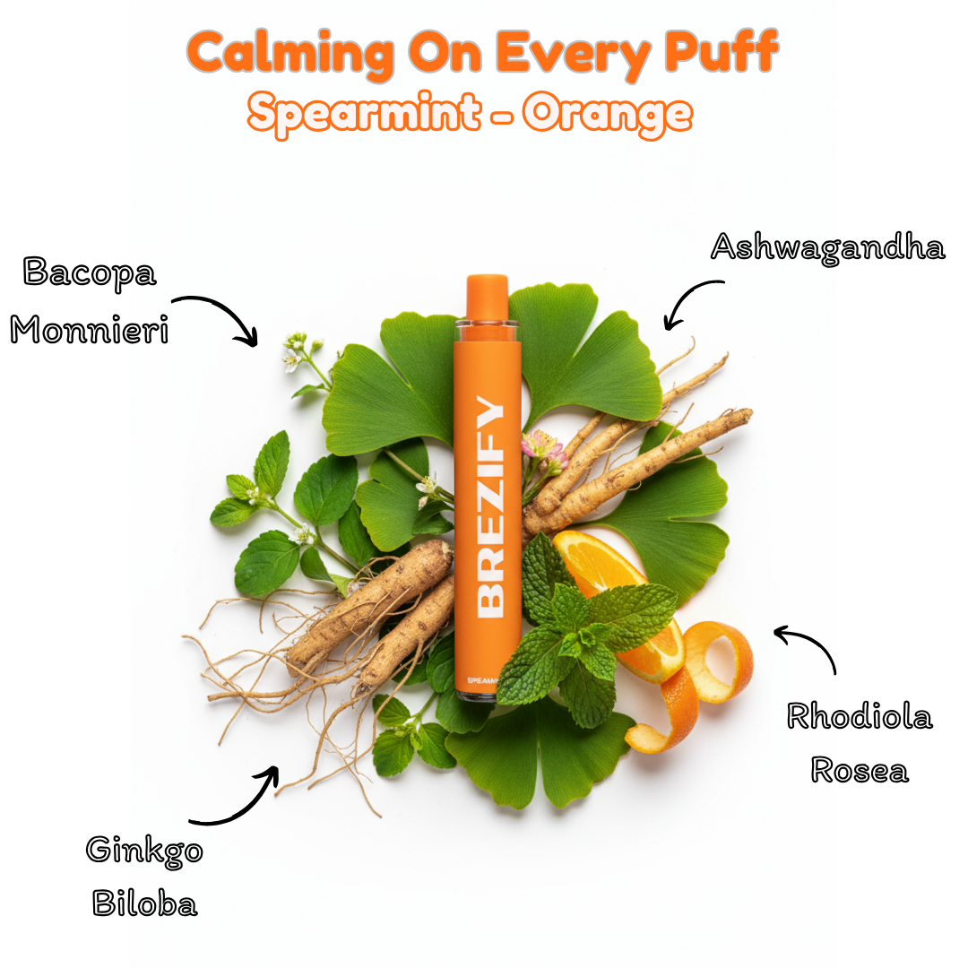 Brezify Herbal Diffuser | Spearmint Flavor