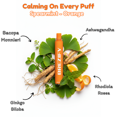 Brezify Herbal Diffuser | Spearmint Flavor