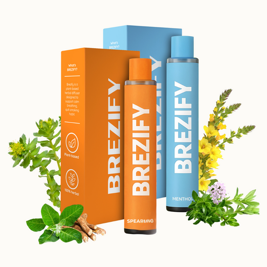 Brezify - Herbal Diffuser Bundle (Day & Night Ritual)